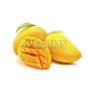 Fresh Mango