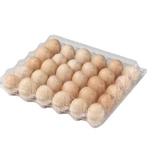 Blister egg tray