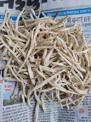 Dried Safed Musli Roots