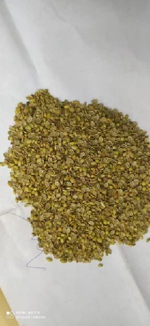 Coriander Seeds