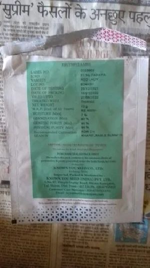 Taiwan Red Lady 786 Papaya Seeds