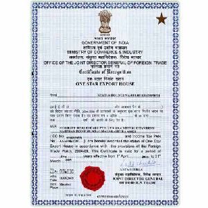 DGFT Star Export House Certification Services