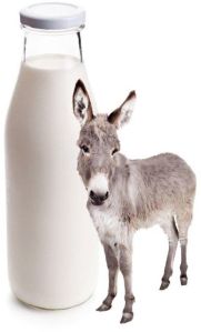 Donkey Milk