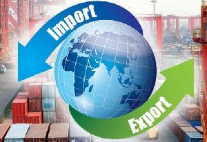 Import & Export Registration Services