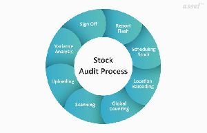 Stock Audit and Assignments Services