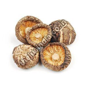Dehydrated Shiitake Mushroom