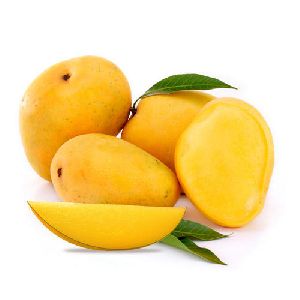 Fresh Alphonso Mango