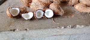 Dried Copra Coconut