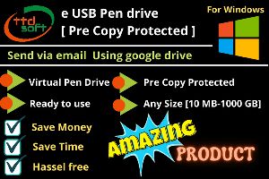 e USB Pen Drive Pre Copy Protected for Windows -ttdsoft