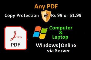 PDF File Copy Protection Software Window Online -ttdsoft