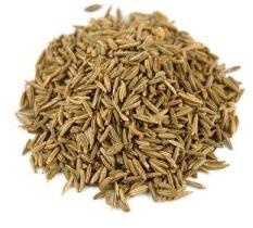 Caraway Seeds