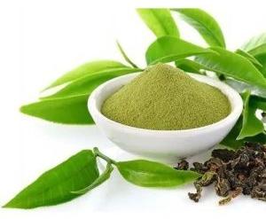 Green Tea Powder