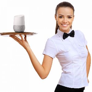 Female Waiter Manpower Services