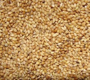 Foxtail Millet Seeds