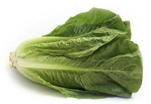 Romaine Lettuce