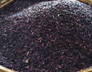 Best Black Rice Manipur