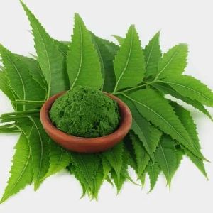 Neem Powder