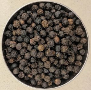 Black Pepper Seeds