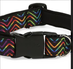 Dog Padded Collar