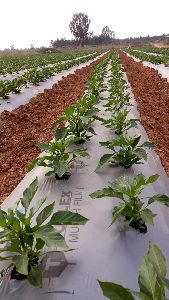 Mulching sheet film for farming