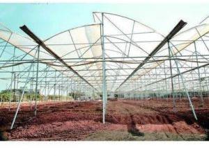 Agricultural Greenhouse Polyhouse GI Pipe