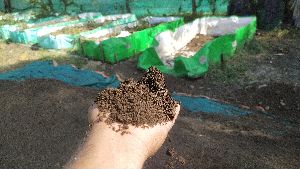 Vermicompost Fertilizer