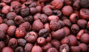 Dry red areca nut