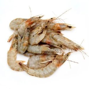 Sea Medium Prawns