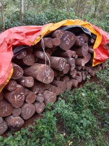 Red Sandalwood Logs