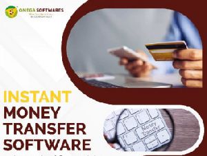 Domestic Money Transfer Softwares Development Company