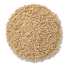 Millet Seeds