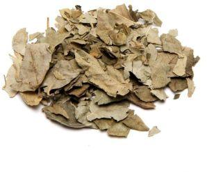 Dried Curry Patta Leaves