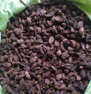 Black Cardamom