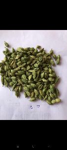 Green Cardamom