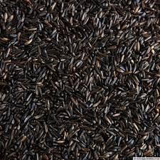 Niger Seeds