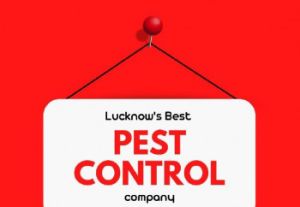 cockroach control services