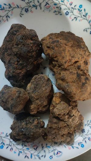 Shilajit Stone