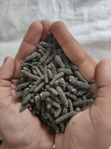 Piper Long Pepper