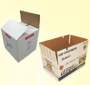 Printed Duplex Master Carton