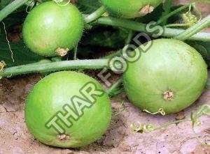 Fresh Apple Gourd