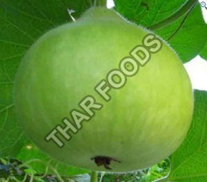 Fresh Apple Gourd