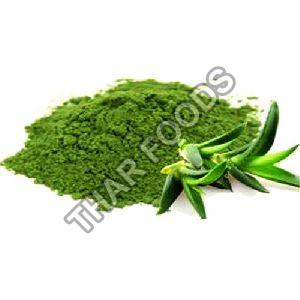 Aloe Vera Powder