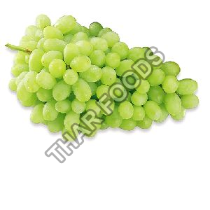 Fresh Grapes