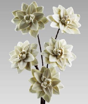 Decorative Dry Arrangements Flowers