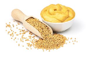 Yellow Mustard Seed