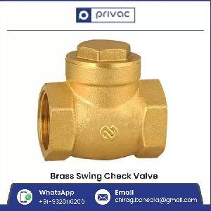 BSP NPT Brass Swing Check Valve