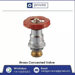 Brass Concealed Valve