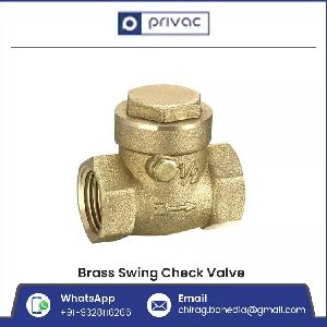 BSP NPT Brass Swing Check Valve