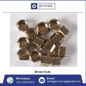 Brass Sanitary Nuts