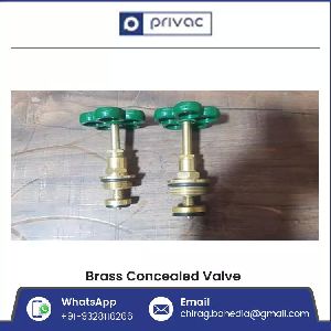 Brass Concealed Valve